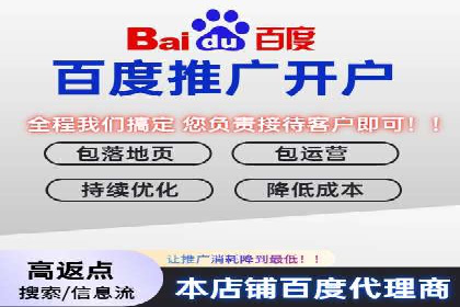 案例研究：SEM优化助力品牌知名度